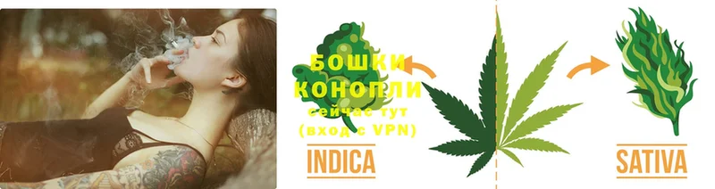 даркнет Telegram  Камышлов  Каннабис SATIVA & INDICA  где можно купить  